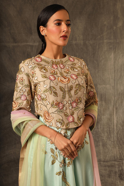 Allyott Top with Lehenga
