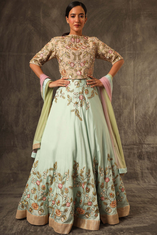Allyott Top with Lehenga